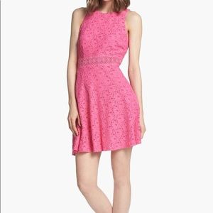 Pink Fit and Flare Lace Dress